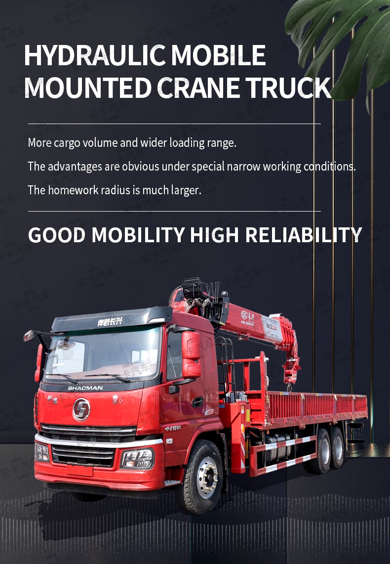  SHACMAN 21 meter telescopic boom truck mounted crane Detailed Diagram