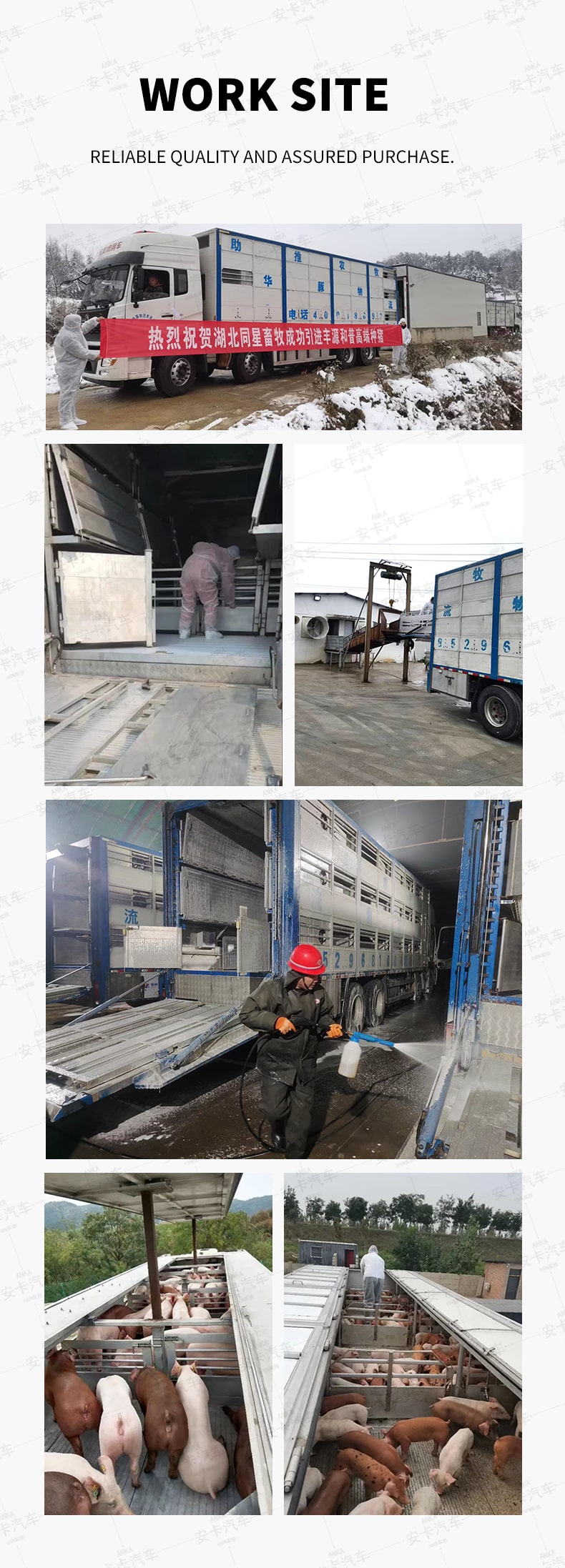 Camion de transport de volailles pour animaux HOWO, porcs, poulets et bétail