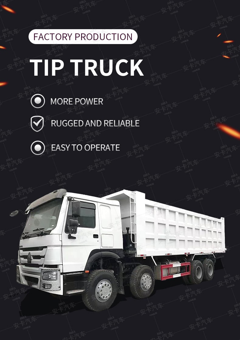  China factory new or used 8*4 12 wheel howo dump truck Detailed Diagram