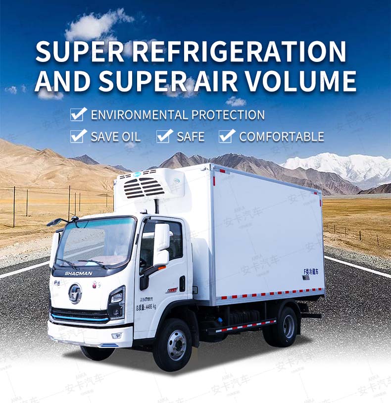  Shacman 4X2 4.2m Refrigerated Truck for Transporting Meat Detailed Diagram
