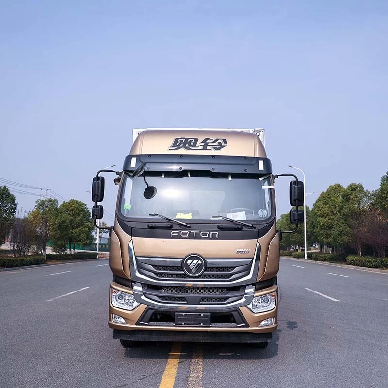 Foton 4x2 10 ton light duty refrigerated truck for sale Front View
