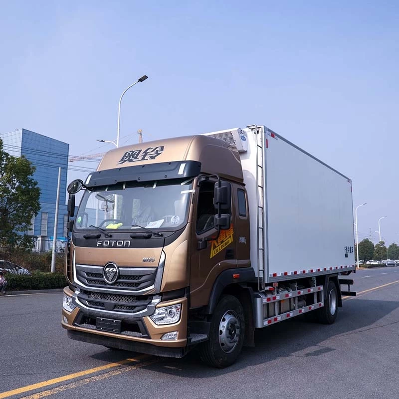 Foton 4x2 10 ton light duty refrigerated truck for sale Oblique Front View
