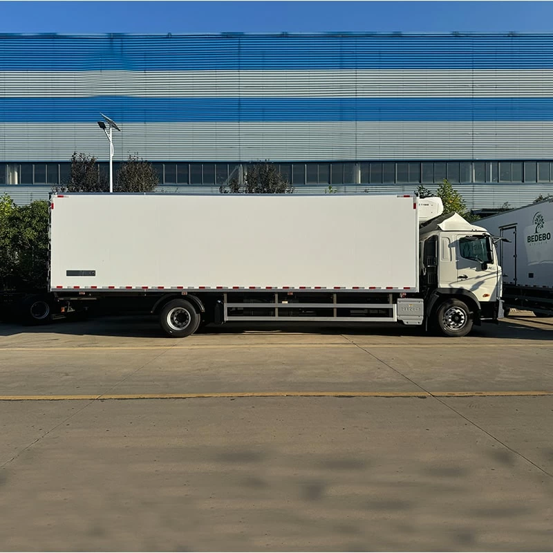 Japan Hino 10 Ton 12 Ton Freezer Regrigerated Truck for Sale Front Side View