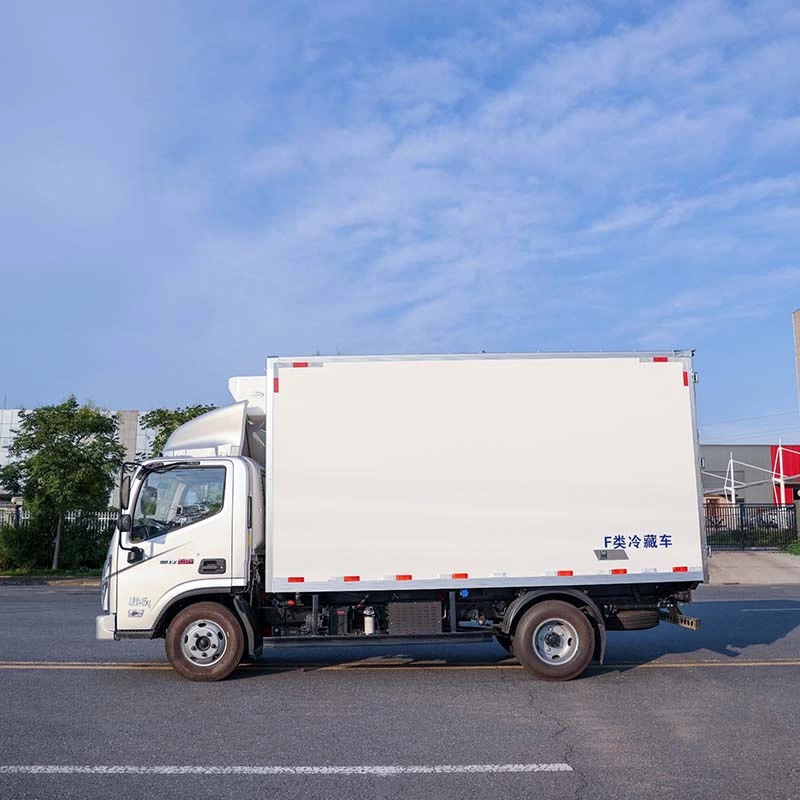 Foton 4X2 refrigerated frozen Van Cargo Box Food Truck Front Side View