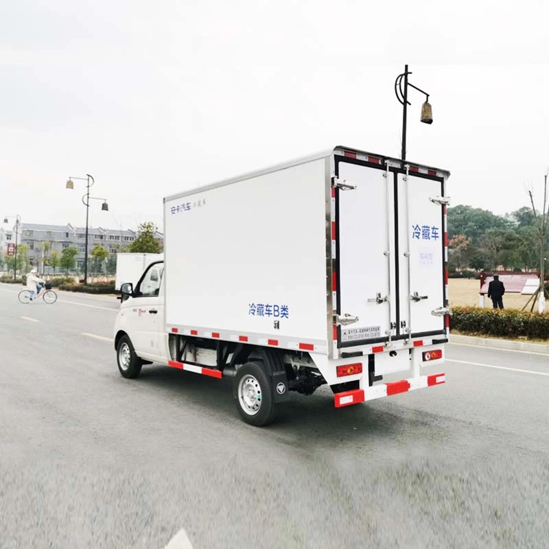 Foton 4x2 freezer Refrigerator Truck transport vegetable Oblique Back Plot