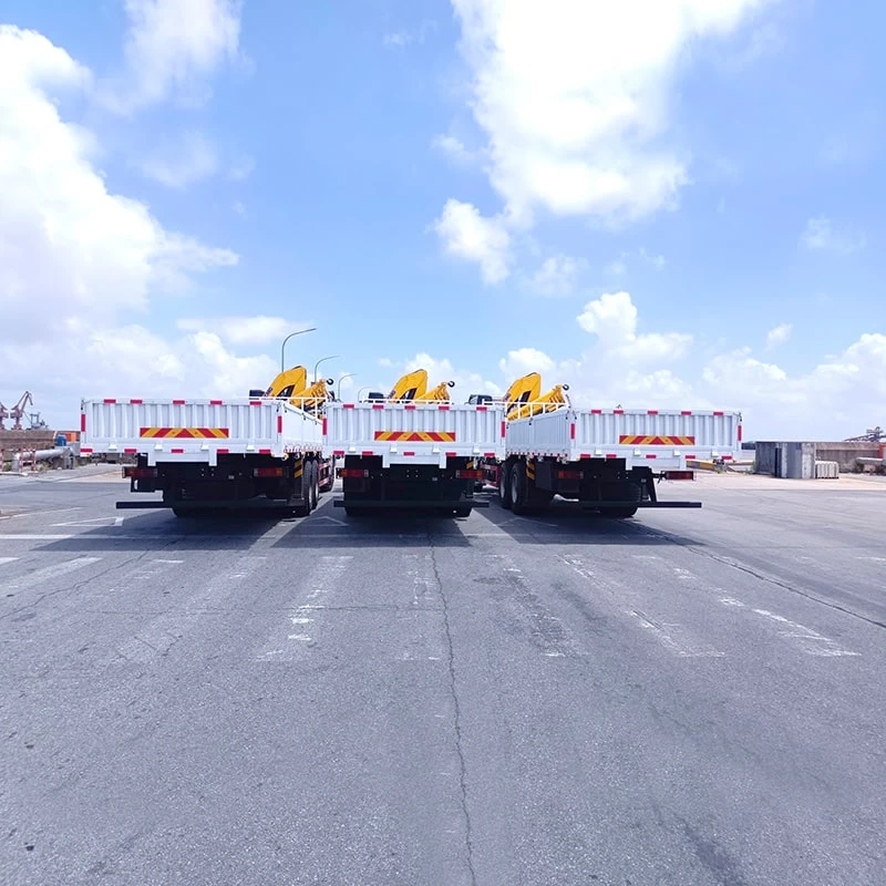 China Factory Shacman 12 tons Hydraulic Mobile Truck Crane
Back Image