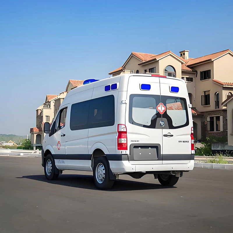 Foton Van Style Ambulance Vehicle with Basic Patient Care
Oblique Back Plot