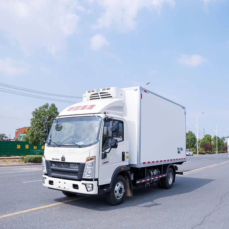 Howo 4X2 5T Refrigerated Truck Oblique front view