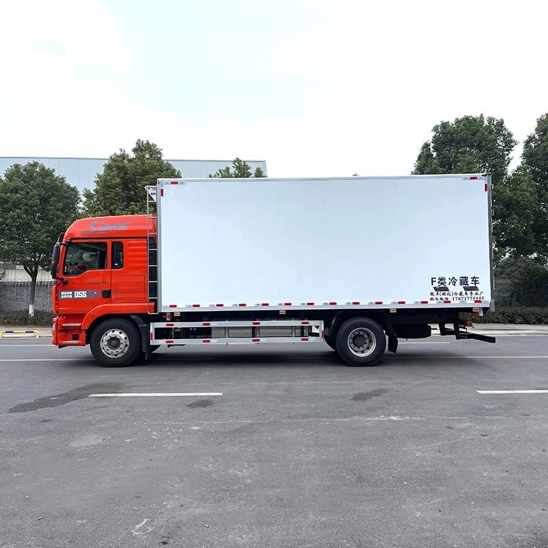 New diesel HOWO 41m3 vegetable truck refrigeration Front Side View
 